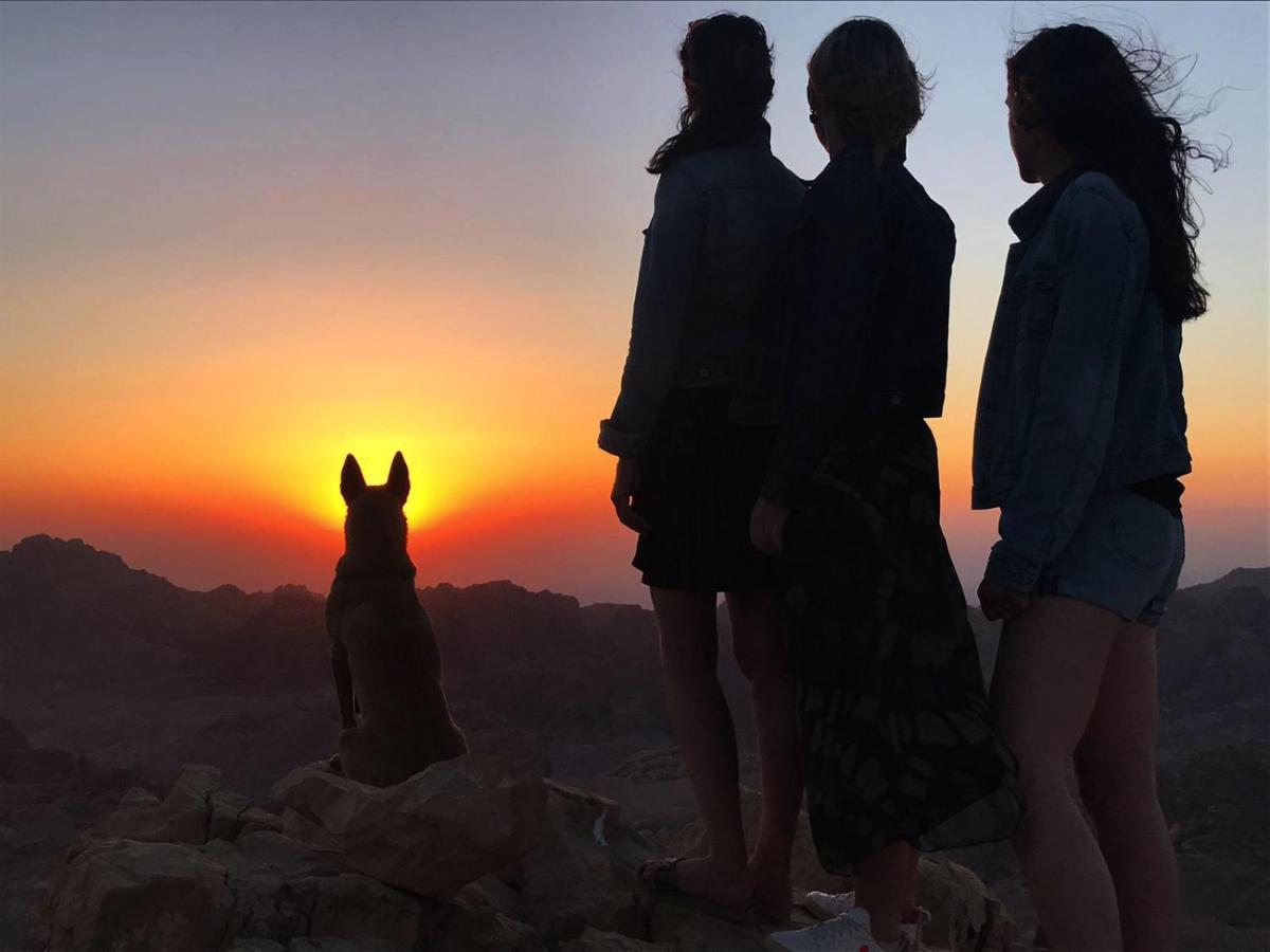 Petra Desert Dream *
