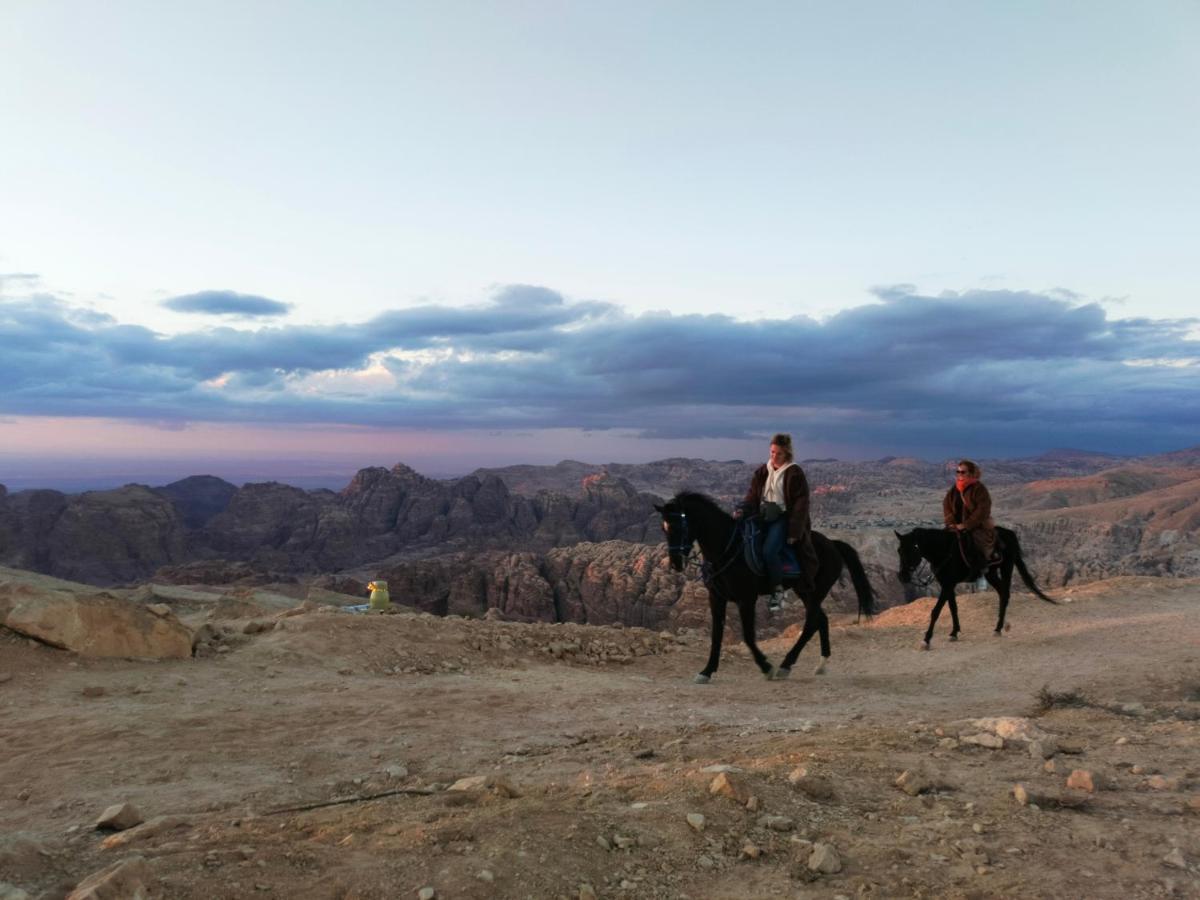 Petra Desert Dream * Wadi Musa
