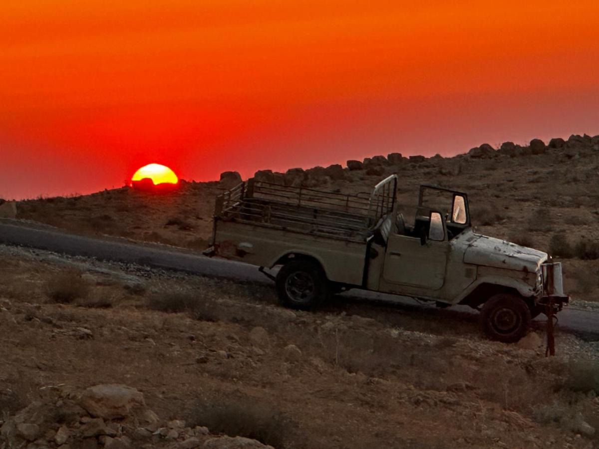 Petra Desert Dream