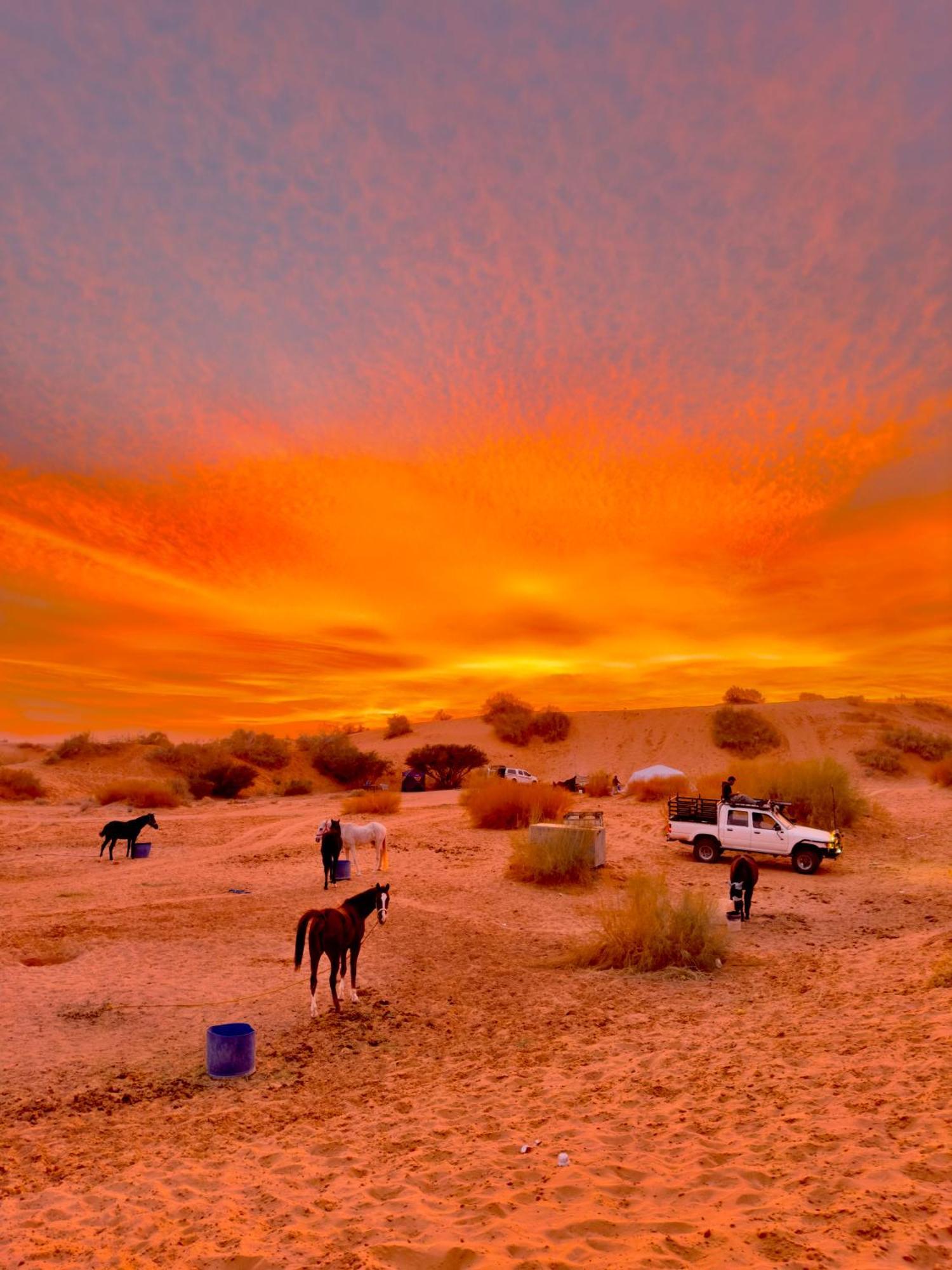 Nocleg ze śniadaniem Petra Desert Dream